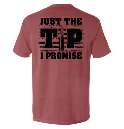 Just The Tip I Promise Flag