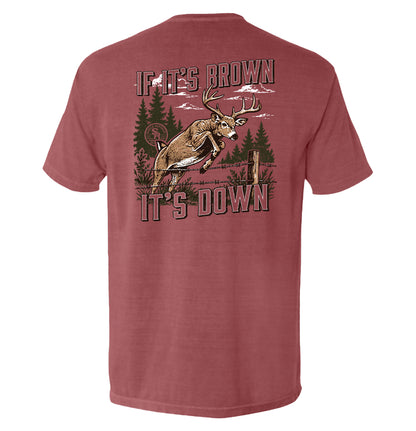 If It's Brown It's Down