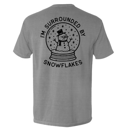 I'm Surrounded by Snowflakes Snowglobe