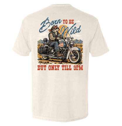 Born to be Wild
