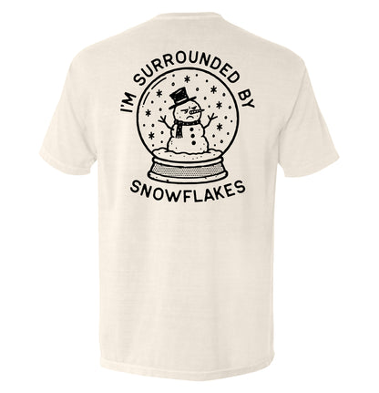 I'm Surrounded by Snowflakes Snowglobe