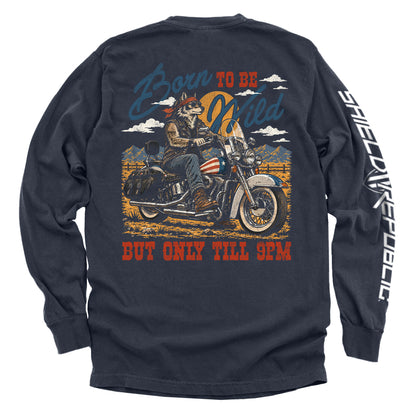 Born to be Wild