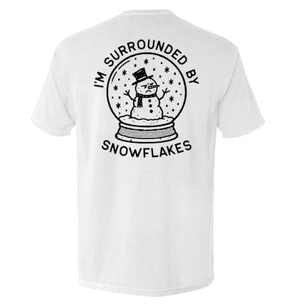 I'm Surrounded by Snowflakes Snowglobe