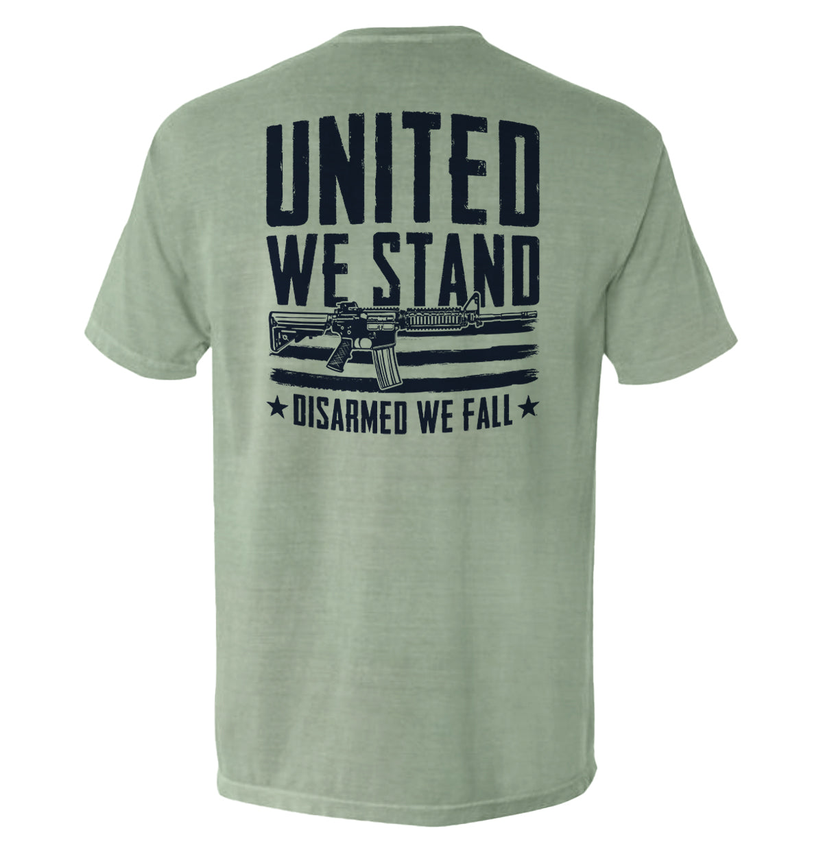 United We Stand Disarmed We Fall